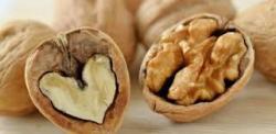 Nueces
