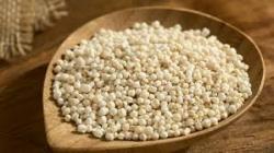 Quinoa