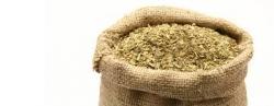 Yerba mate sin saborizar