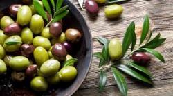 Aceitunas en salmuera Argentinas, envasadas en origen: Mendoza, S. Juan, La Rioja, Córdoba o Catamarca