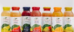 JUGOS DE FRUTAS Las Brisas comun:  arandano, frutilla , naranja , manzana , pera , mix pera y manzana , limon con menta