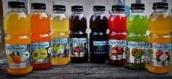 Jugos en botella de: arándano, ciruela, frutilla, frutos rojos, manzana, kiwi, maracuyá, naranja, pera