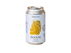 Kombucha de Jengibre y Burrito