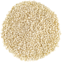 Semilla de sesamo blanco