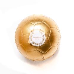 Pelota de futbol